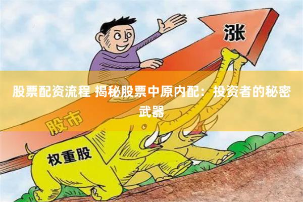 股票配资流程 揭秘股票中原内配：投资者的秘密武器
